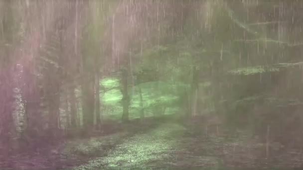 森の中のピンクの雨 熱帯雨林の美しい風景 — ストック動画