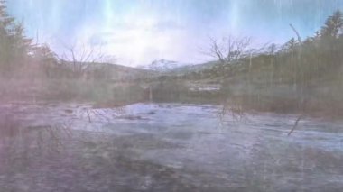 Şiddetli yağmur, yağmur ormanlarındaki güzel sığ göle düştü.