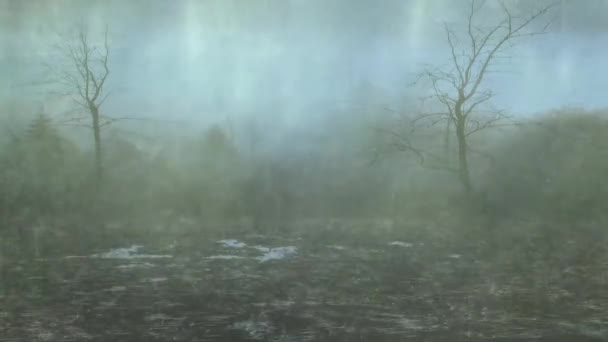 Grande Pluie Vent Sur Terrain Sauvage Beau Paysage Dans Forêt — Video