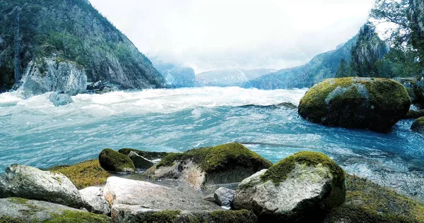 Nehirler güçlü bir şekilde denize akıyor - Ormanın büyüleyici manzarası