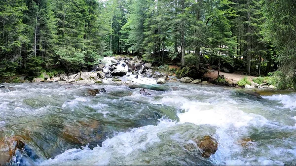 Kaynaklarda akan güçlü akarsular - yağmur ormanlarının güzel manzarası