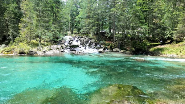 Ormanda güzel akarsular sorunsuz akıyor. 
