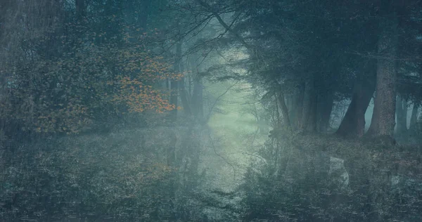 Göle yağmur yağıyor.