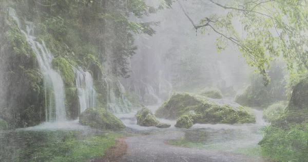 Akıntılar ve şiddetli yağmur tropikal ormanlara taştı