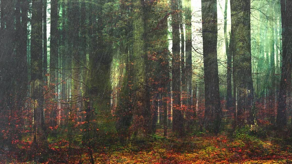 Lluvia Cae Bosque Flores Clima Lluvioso Naturaleza — Foto de Stock