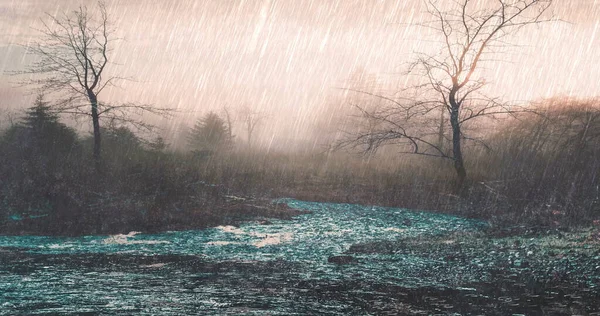 雨落在热带雨林的沼泽地上 — 图库照片