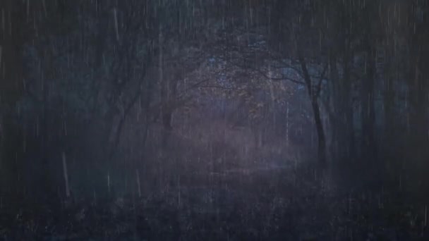 Rain Falls Forest Night — Stockvideo