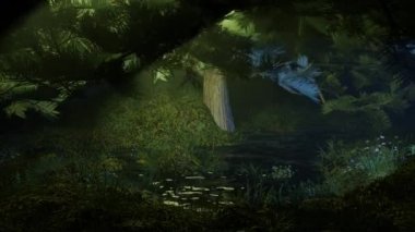 Rain in the swamp forest at night, Scenery in the Forest and Tropical Lake, Weather Nature Landscape