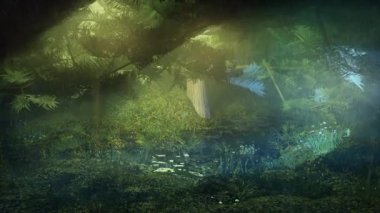 Rain in the swamp forest at night, Beautiful Scenery in the Forest and Tropical Lake, Nature Landscape