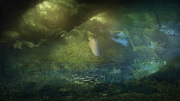 Geceleri bataklık ormanlarında yağmur - Doğa manzarası 