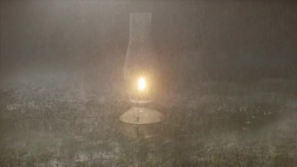 Rain Grassland Light Lantern Middle Rainy Day Storm Middle Night — Stockvideo