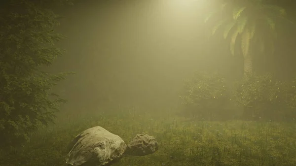 Geel Licht Verlicht Het Bos Boslandschap Nachts Natuurlandschap — Stockfoto