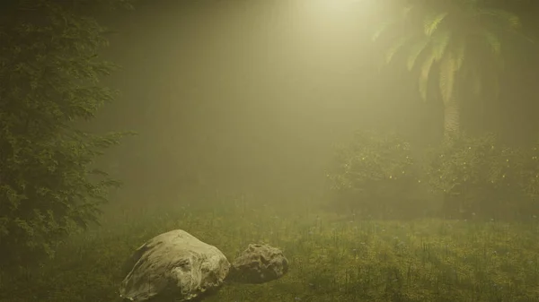 Luz Amarilla Ilumina Bosque Paisaje Forestal Noche Paisaje Natural —  Fotos de Stock