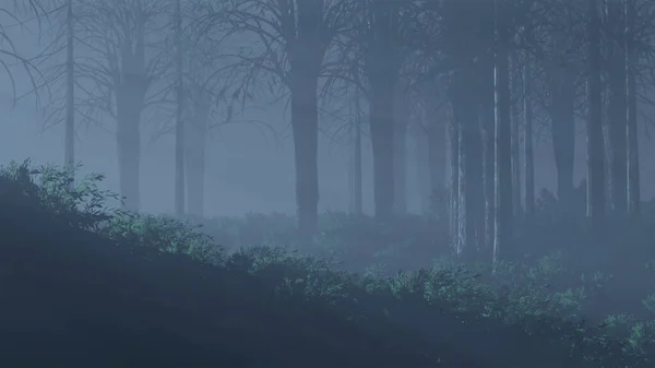 Gece yarısı vahşi orman - soğuk sisli orman