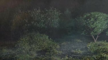 Gece yağmuru, Göle sağanak yağmur yağdı Yağmur ormanlarında, Yağmurda güzel bir manzara