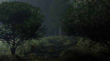 Akşam Vahşi Orman Manzarası, Gece Yarısı Ormanı 'nda Akıntı