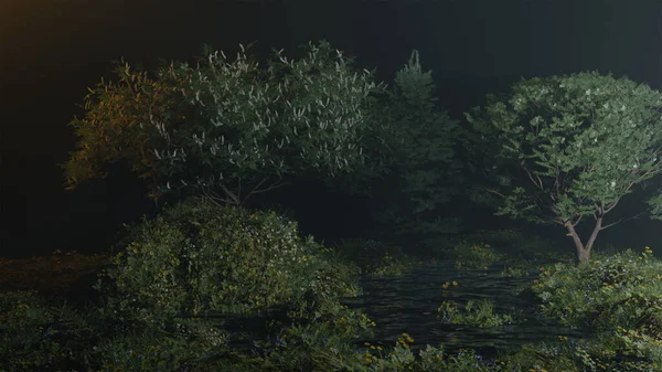 Yağmur ormanlarındaki derenin kenarındaki gece manzarası, Doğa Manzaraları