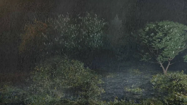 Gece yağmuru, Göle sağanak yağmur yağdı Yağmur ormanlarında, Yağmurda güzel bir manzara