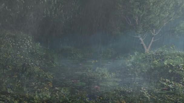 Сильний Дощ Падав Струмок Густому Лісі Сезон Дощів Тропічних Лісах — стокове відео
