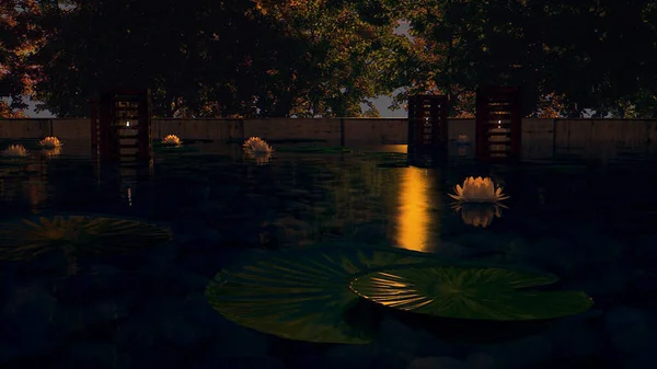 Geceleri bahçede romantik misk lambaları yakıyorum.