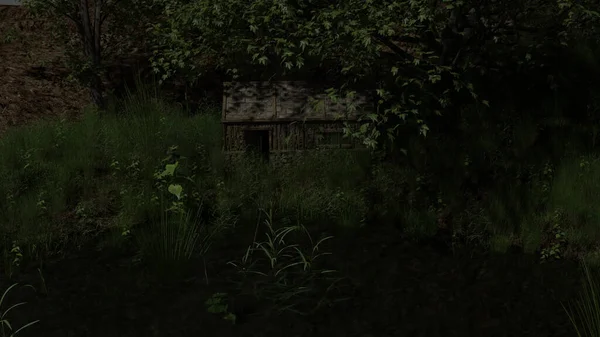 - 20. Terk Edilmiş Ev Yağmur Ormanlarının Ortasında Ormanda