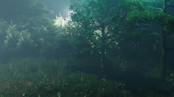 Vahşi ormandaki gece manzarası, Güzel Doğal Manzara