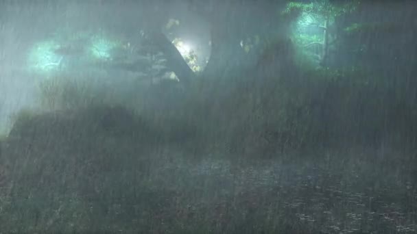 Lichter Der Nacht Regen Den Magischen Nachtwald Natur Schönes Wetter — Stockvideo