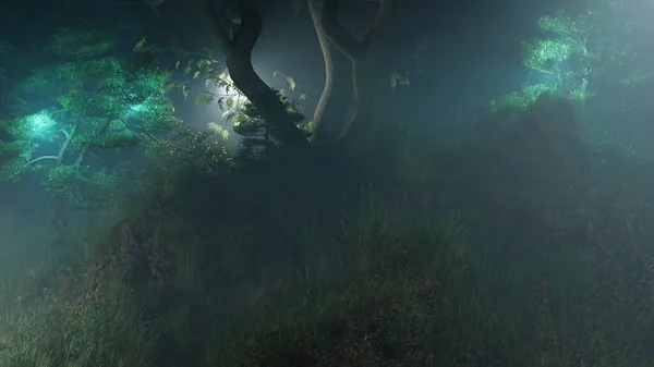 Vahşi ormandaki gece manzarası, Hava Yağmurlu Doğa Sahnesi