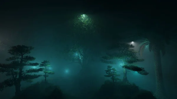 Light Night Forest Beautiful Scenery Magical Forest — 스톡 사진