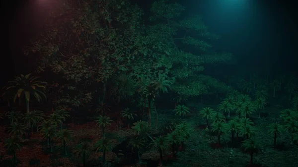 Vahşi ormanın içindeki gece manzarası, Doğa manzarası