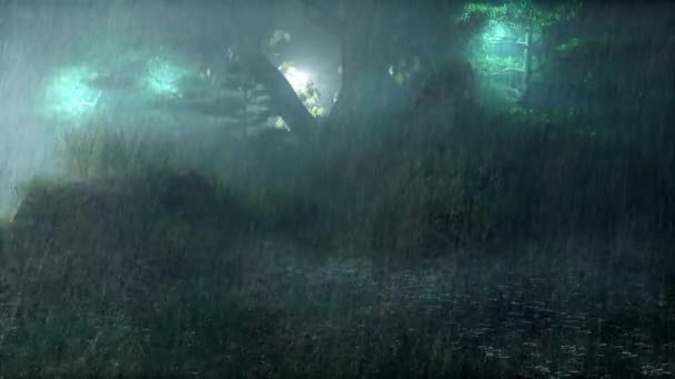 Lichter Kalten Regen Spät Der Nacht Wald — Stockvideo