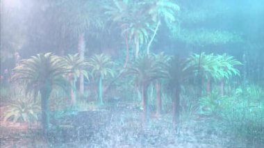 Heavy rain in the tropical coconut forest