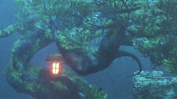 Video Weather Rainforest Showers Jungle Rain Falling Great Tree House — Vídeo de stock
