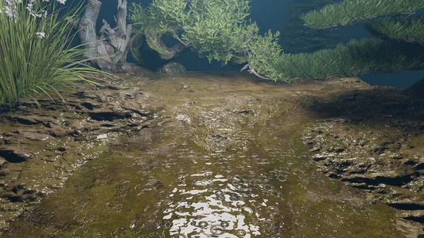 Tropikal ormanlarda bataklık yağmur suyu göletleri