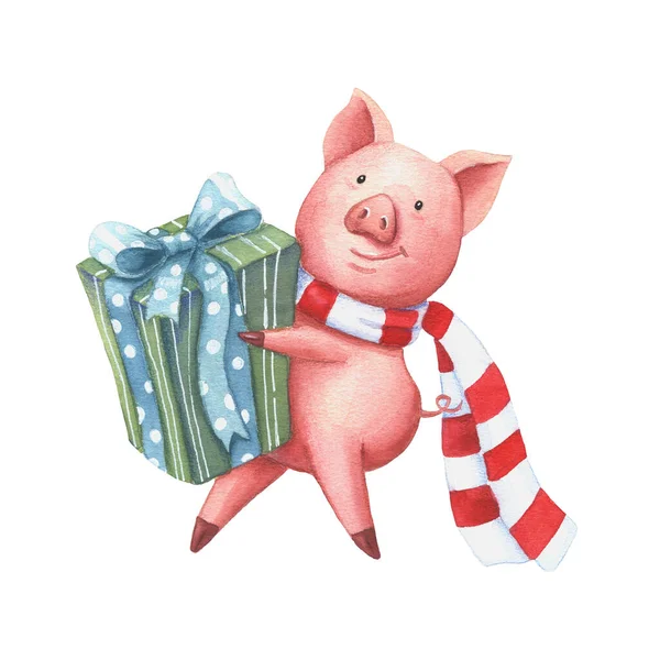 Watercolor pig with Christmas gift in a scarf — Stock Photo, Image