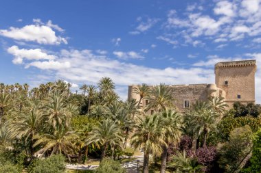 Altamira kalesi ve Elche 'nin palmiye bahçesi dünya mirası ilan edildi. Valensiyalı Cemaati, Alicante, Elche, İspanya