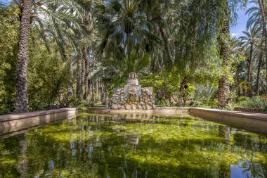 Elche 'nin Huerto Del Cura botanik bahçesindeki Elche Leydisi. Elche Palmiye Bahçesi, Alicante, İspanya.