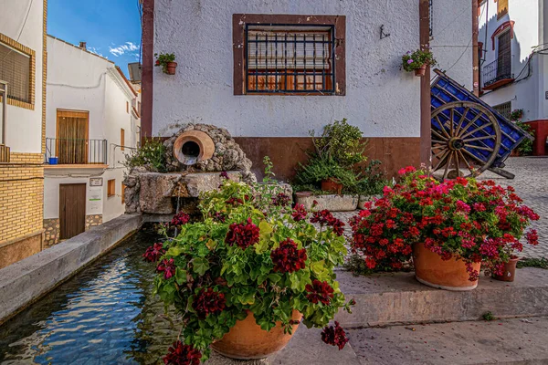 Typische Straße Castril Stadtplatz Der Andalusischen Gemeinde Granada Spanien — Stockfoto
