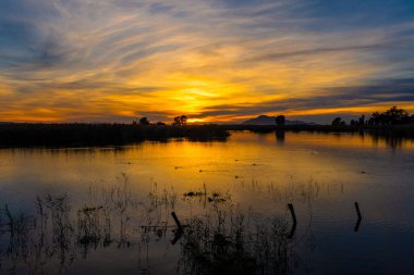 Elche-Crevillent, Alicante, İspanya 'daki El Hondo de Elche doğal parkında gün batımı.