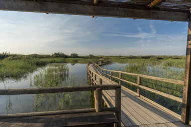 Güneşli bir günde doğal bir parkta kuş gözlemevi.
