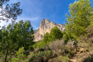Dağcı, arka plandaki dağ ve ağaçlar arasında bir patika boyunca yürüyor. Ponoig dağı Valensiyalı cemaati Alicante, İspanya 'da bulunmaktadır.