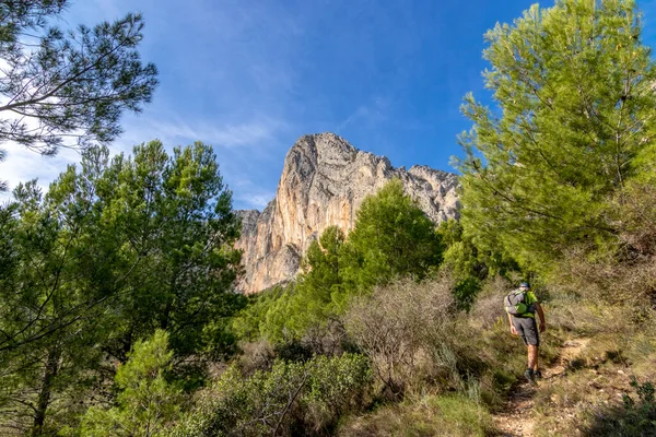 Dağcı, arka plandaki dağ ve ağaçlar arasında bir patika boyunca yürüyor. Ponoig dağı Valensiyalı cemaati Alicante, İspanya 'da bulunmaktadır.