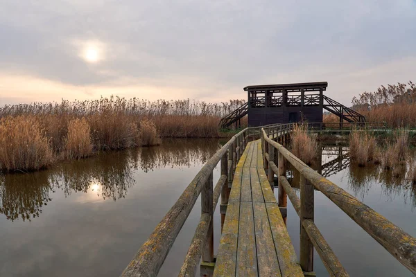 Elche-Crevillent, Alicante, İspanya 'daki El Hondo de Elche doğal parkında gün doğumu.