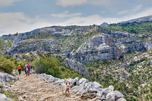 Barranc de Infern 'deki 6000 Basamaklı Yol' da yürüyüş yapan bir grup. Vall de Laguar 'daki Cehennem Geçidi, Alicante, İspanya.