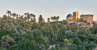 Panoramic view of the Palmeral of Elche and view of the Altamira castle and the blue dome of the Santa Mara basilica, located in the Valencian Community, Alicante, Elche, Spain. clipart