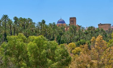 Moli del real ve Santa Maria Bazilikası palmiye ağaçları arasında. Valensiyalı cemaatinde, Alicante, Elche, İspanya