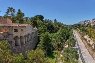 Moli del real ve Santa Maria Bazilikası palmiye ağaçları arasında. Valensiyalı cemaatinde, Alicante, Elche, İspanya