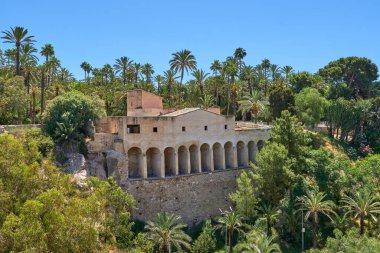 Moli del real ve Santa Maria Bazilikası palmiye ağaçları arasında. Valensiyalı cemaatinde, Alicante, Elche, İspanya.