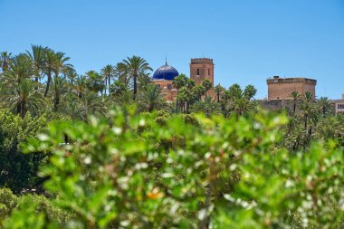 Moli del real ve Santa Maria Bazilikası palmiye ağaçları arasında. Valensiyalı cemaatinde, Alicante, Elche, İspanya.