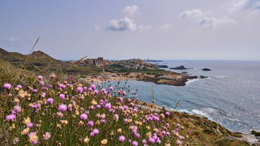 Cala Reona 'nın, arkadaki Cabo de Palos' un Murcia, İspanya 'daki Calblanque dağlarından görünüşüne bakın.